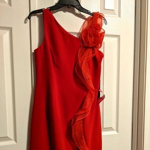 Gorgeous ladies red party dress